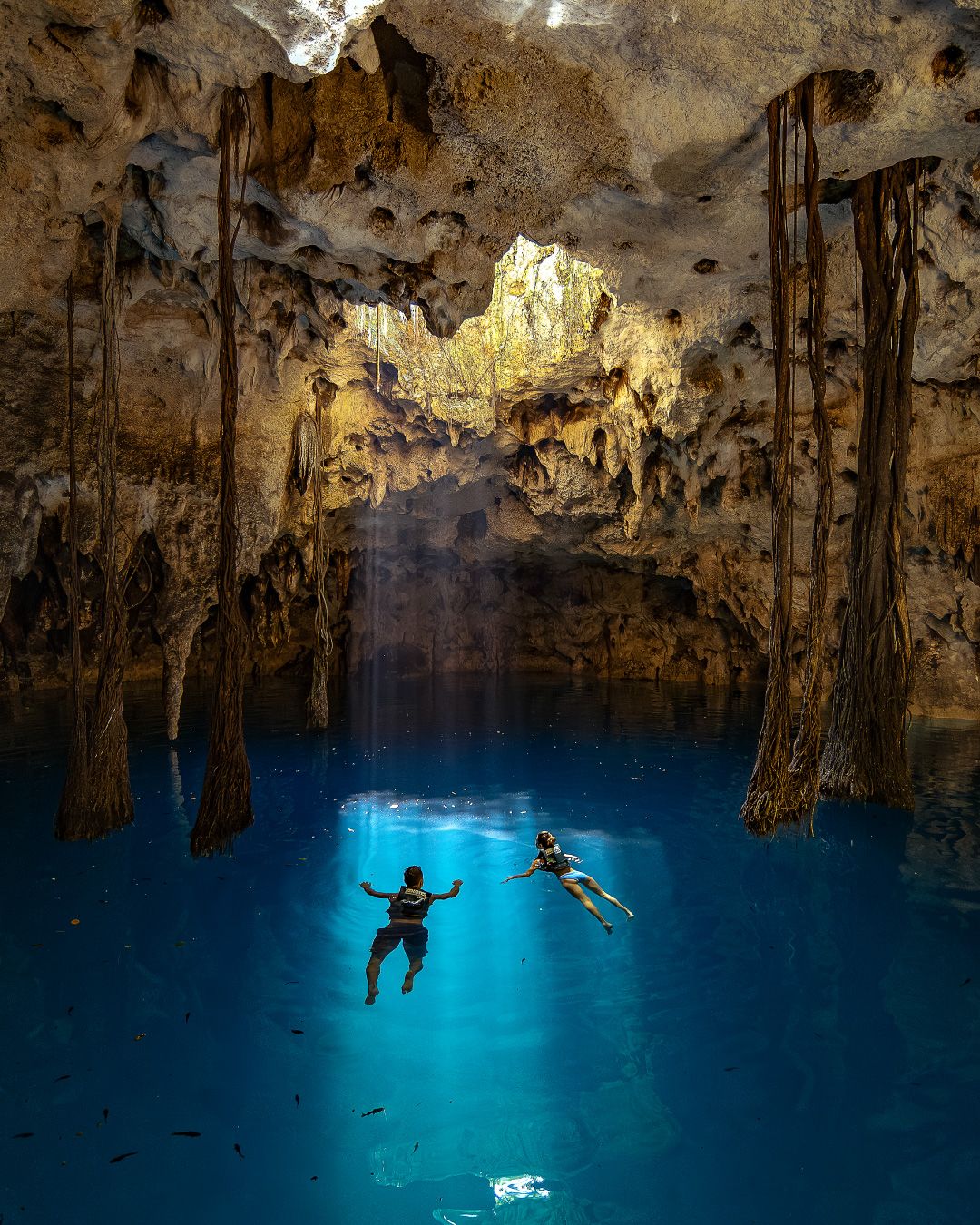 Xenotes Tour | Cenotes in Cancun