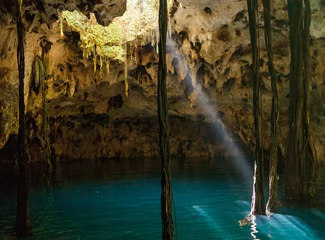 Cenotes Cancun | Xenotes Tour | Mexican Sinkholes