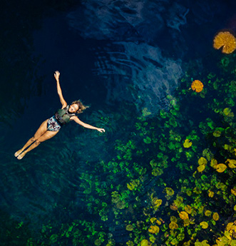 Xenotes | All-Fun Inclusive 