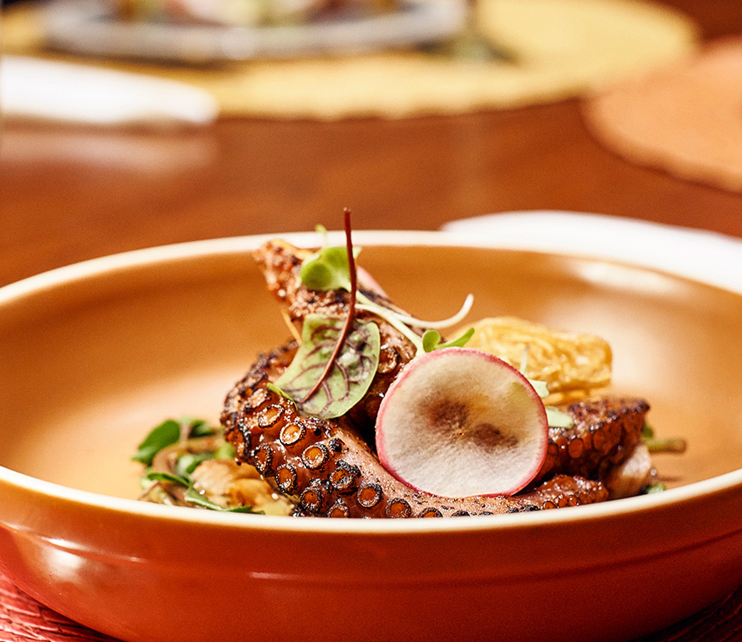 Alt image intro desktop