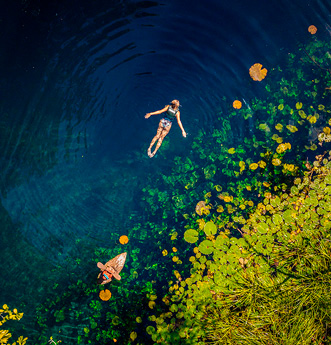 Xenotes | All-Fun Inclusive 